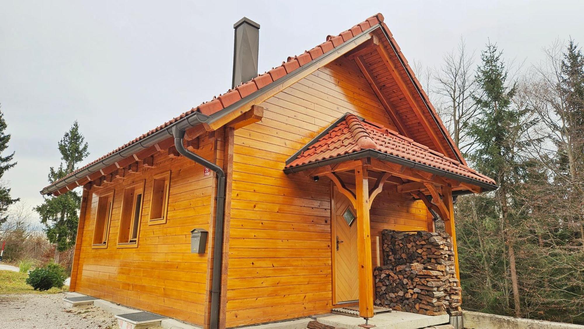 Villa Ica - Hisica V Hribih Kamnik Exterior foto